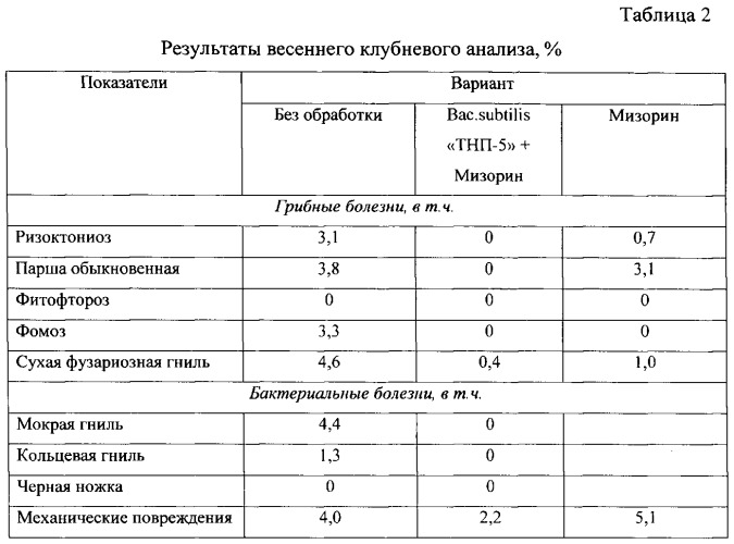 Способ борьбы с почвенными патогенами картофеля в мерзлотных почвах (патент 2534889)