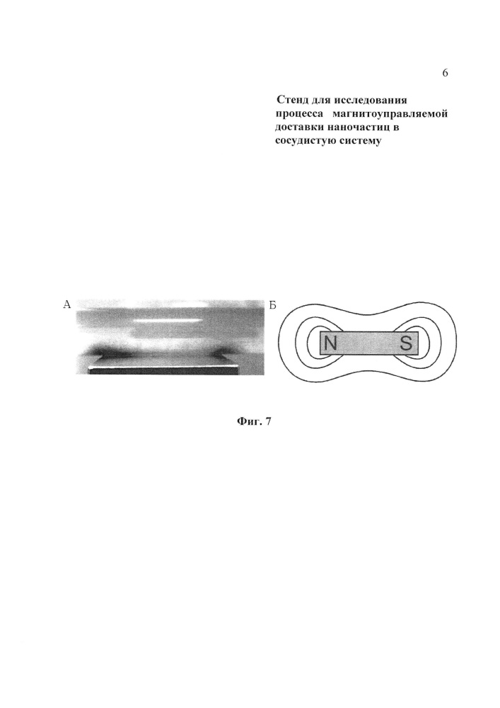 Стенд для исследования процесса магнитоуправляемой доставки наночастиц в сосудистую систему (варианты) (патент 2619854)