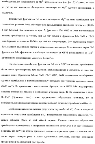 Антитела к гликопротеину vi и способы продуцирования и использования этих антител (патент 2407752)