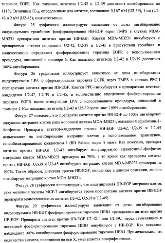 Белки, связывающие антиген фактор роста, подобный гепаринсвязывающему эпидермальному фактору роста (патент 2504551)