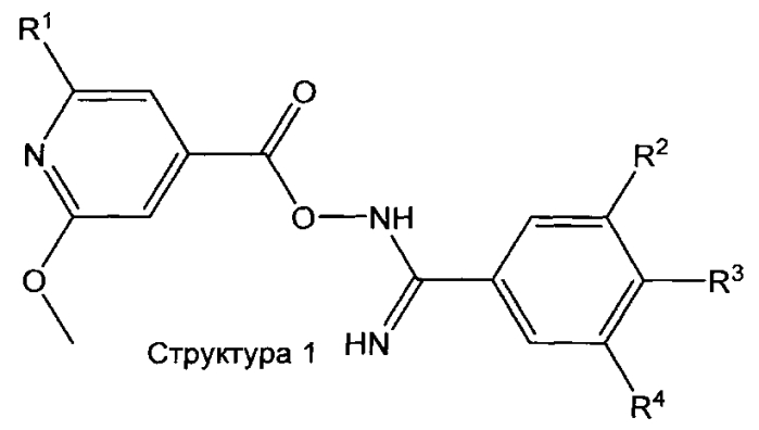 2-метокси-пиридин-4-ильные производные (патент 2588141)