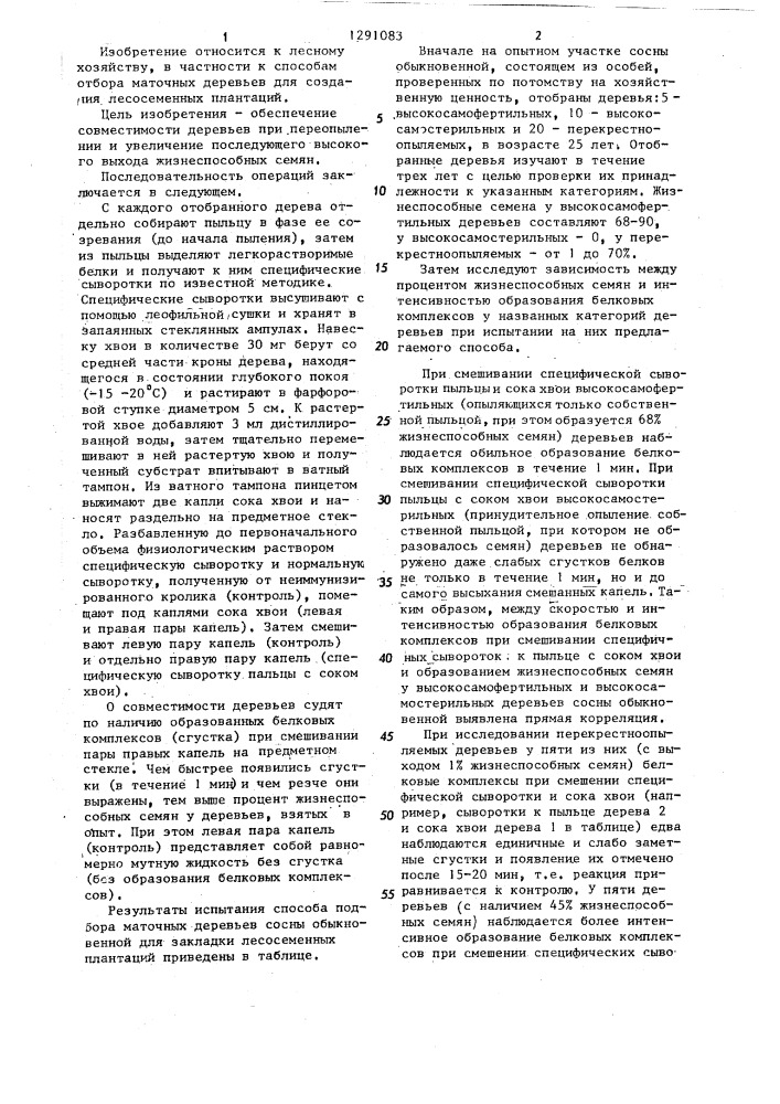 Способ подбора маточных деревьев сосны обыкновенной для закладки лесосеменных плантаций (патент 1291083)