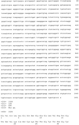 Pscaxcd3, cd19xcd3, c-metxcd3, эндосиалинxcd3, epcamxcd3, igf-1rxcd3 или fap-альфаxcd3 биспецифическое одноцепочечное антитело с межвидовой специфичностью (патент 2547600)