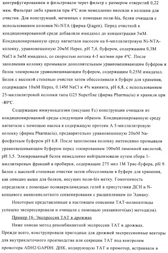 Композиции и способы диагностики и лечения опухоли (патент 2423382)