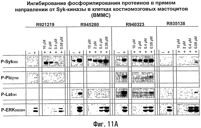 Способы лечения или профилактики аутоиммунных заболеваний с помощью соединений 2,4-пиримидиндиамина (патент 2491071)