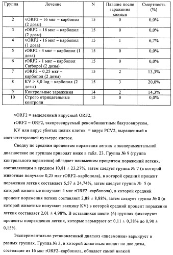 Поливалентные иммуногенные композиции pcv2 и способы получения таких композиций (патент 2488407)