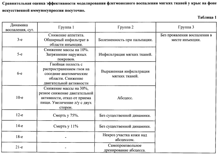 Способ получения лабораторной модели артифициального флегмонозного воспаления мягких тканей у крыс на фоне искусственной иммуносупрессии (патент 2581255)