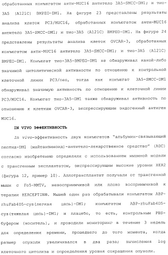 Антитела, сконструированные на основе цистеинов, и их конъюгаты (патент 2412947)