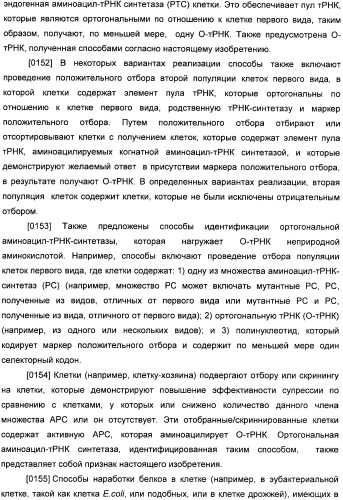 Генетически кодируемые флюоресцентные кумариновые аминокислоты (патент 2473690)