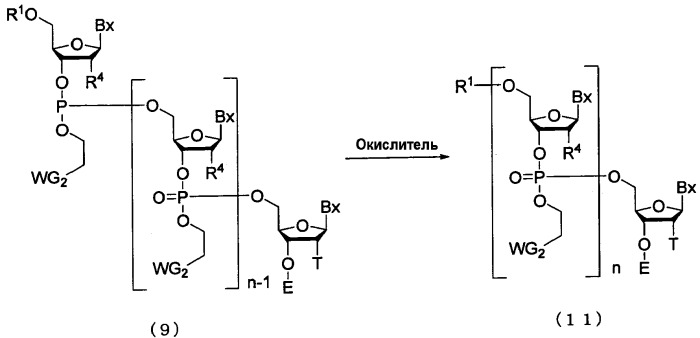 Производное фосфорамидита и способ получения олиго-рнк (патент 2415862)