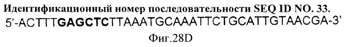 Иммуногенный эпитоп вируса гриппа (патент 2546872)