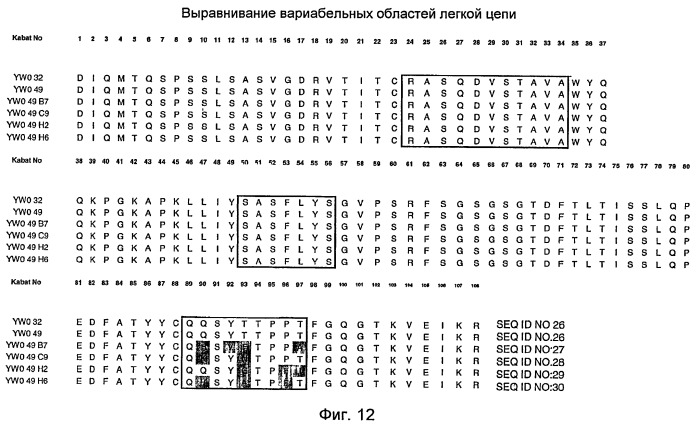 Анти-тат226 антитела и иммуноконъюгаты (патент 2448980)