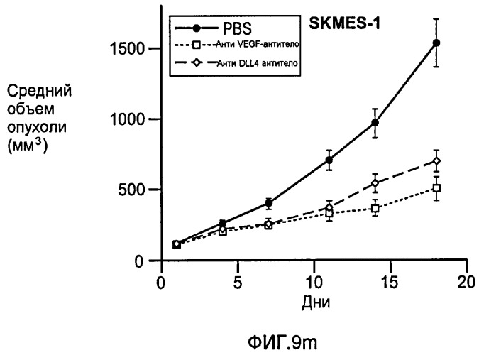 Антитела против dll4 и способы их применения (патент 2415869)