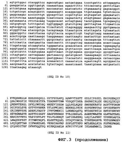 Экспрессирующая система (патент 2385348)