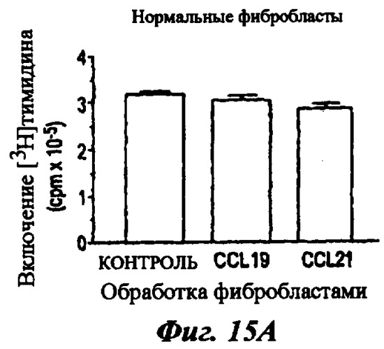 Материалы и способы лечения хронических фиброзных заболеваний (патент 2446825)