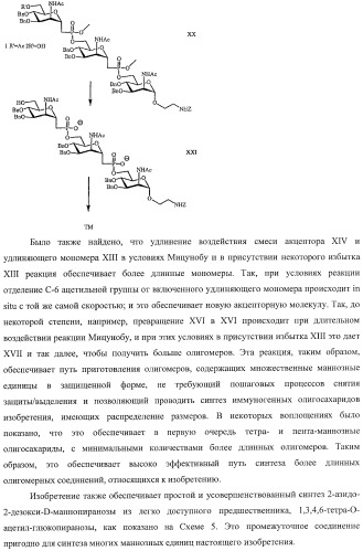 Иммуногены для вакцин против менингита а (патент 2412944)