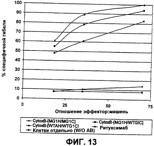 Слитые белки связывающий домен-иммуноглобулин (патент 2420537)