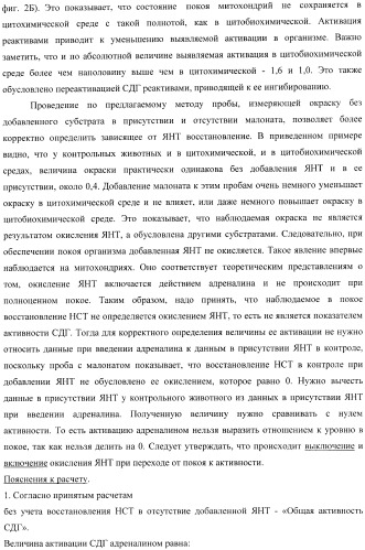 Цитобиохимический способ определения активности сукцинатдегидрогеназы, окисления эндогенной янтарной кислоты, сигнального действия микромолярных концентраций янтарной кислоты, его применение для количественной оценки уровня адренергической регуляции в организме, среда и набор для осуществления способа (патент 2364868)