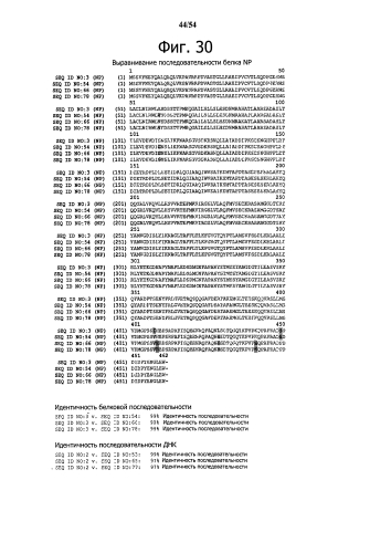 Способ получения рекомбинантного вирусного вектора apmv-8 (патент 2592544)