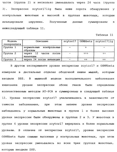 Новый лиганд рецептора цитокина zcytor17 (патент 2360923)