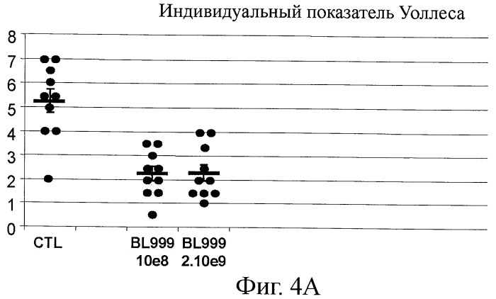 Применение bifidobacterium longum в производстве лекарственного средства или терапевтической питательной композиции для лечения воспалительного заболевания кишечника у млекопитающего и для ослабления воспаления кишечника, связанного с пищевыми аллергенами, у млекопитающего (патент 2445362)