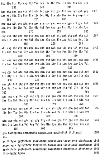 Способ получения l-аминокислоты (патент 2250266)