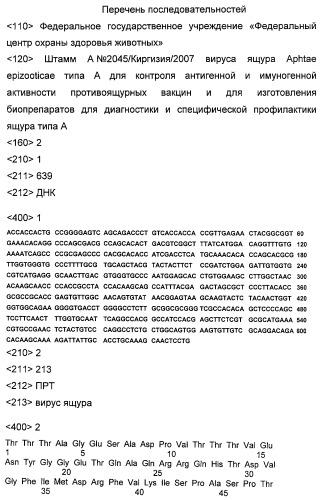 Штамм а 2045/киргизия/2007 вируса ящура aphtae epizooticae типа а для контроля антигенной и иммуногенной активности противоящурных вакцин и для изготовления биопрепаратов для диагностики и специфической профилактики ящура типа а (патент 2451745)