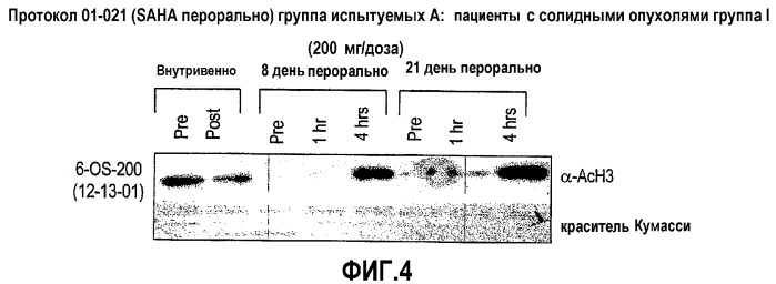 Способы лечения рака с использованием ингибиторов hdac (патент 2356547)