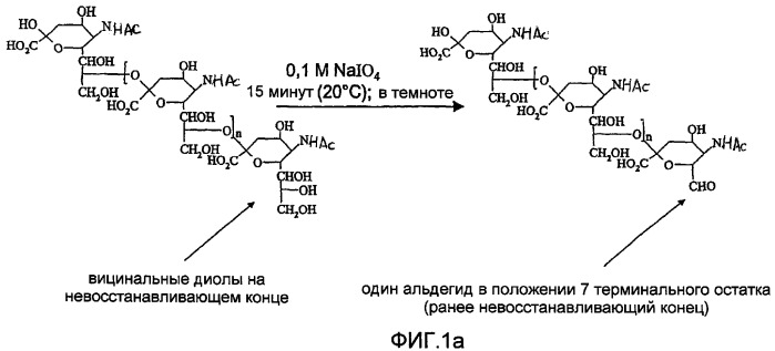 Альдегидные производные сиаловой кислоты, способы их получения, конъюгаты альдегидных производных сиаловой кислоты и фармацевтическая композиция на их основе (патент 2333223)