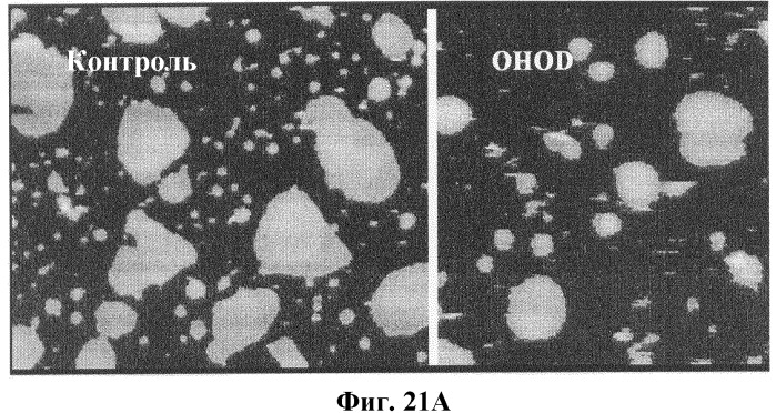 Альфа-производные цис-мононенасыщенных жирных кислот, предназначенные для применения в качестве лекарственного средства (патент 2531353)