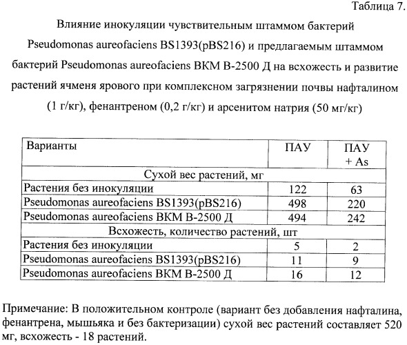 Штамм бактерий pseudomonas aureofaciens вкм в-2500 д для биодеградации полициклических ароматических углеводородов в условиях загрязнения почв арсенитом натрия (патент 2396338)