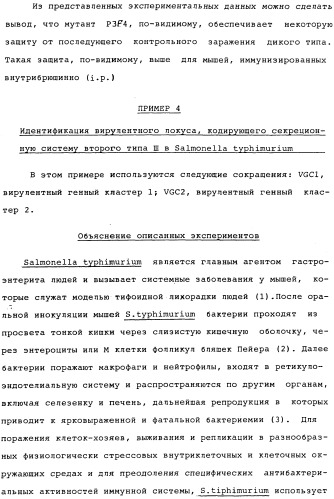 Vgc2 днк salmonella typhimurium, мутантная бактерия, обладающая пониженной способностью к адаптации к условиям окружающей среды, и способ ее получения (патент 2370541)