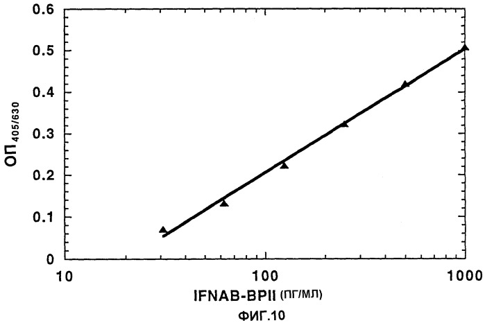 Антитело против интерферон-альфа/бета-связывающего белка ii (ifnab-bpii) (патент 2362781)