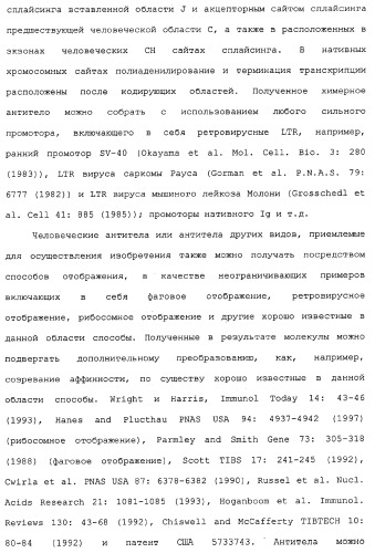 Применение антител к ctla-4 (патент 2346702)