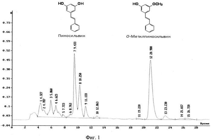 Способ выделения полифенольных соединений класса стильбенов пиносильвина и метилпиносильвина из отходов переработки сосны (патент 2536241)