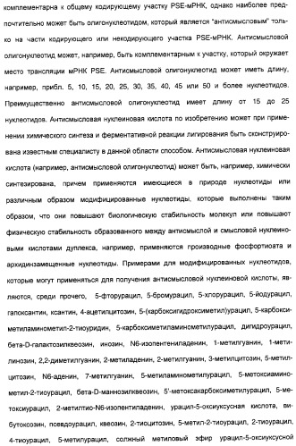 Новый ген элонгазы и способ получения полиненасыщенных кислот жирного ряда (патент 2311457)