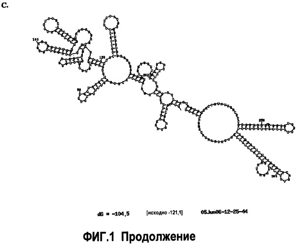 Рекомбинантные флавивирусные вакцины (патент 2465326)