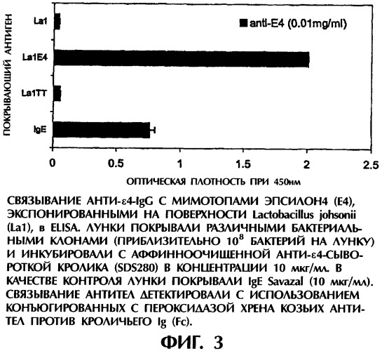 Молочно-кислые бактерии в качестве агентов для лечения и предотвращения аллергии (патент 2312892)