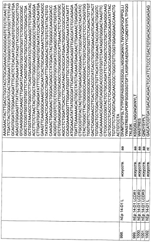 Pscaxcd3, cd19xcd3, c-metxcd3, эндосиалинxcd3, epcamxcd3, igf-1rxcd3 или fap-альфаxcd3 биспецифическое одноцепочечное антитело с межвидовой специфичностью (патент 2547600)