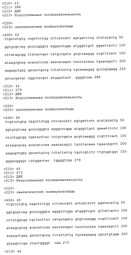 Гетеродимерные полипептиды il-17 a/f и возможности их лечебного применения (патент 2440134)