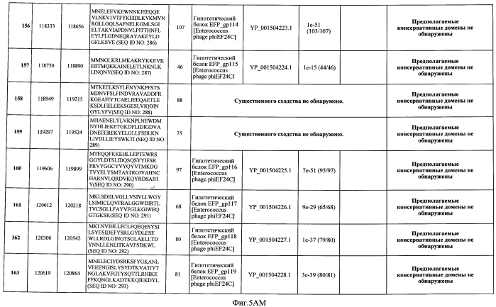 Бактериофаг, обладающий активностью против pseudomonas aeruginosa, белки бактериофага и способы их применения (патент 2580248)