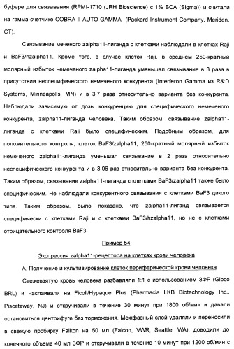 Выделенный полипептид, связывающий рецептор zalpha11-лиганда (варианты), кодирующий его полинуклеотид (варианты), вектор экспрессии (варианты) и клетка-хозяин (варианты) (патент 2346951)