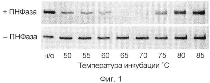 Способ повышения специфичности обратной транскрипции (патент 2459872)