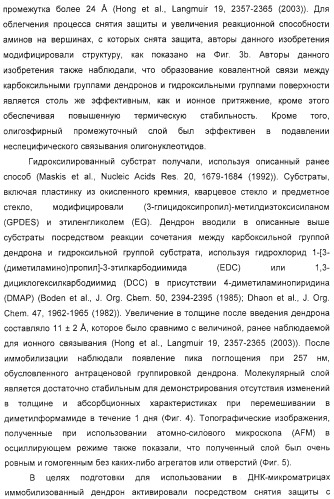 Макромолекула регулируемого размера (патент 2326172)
