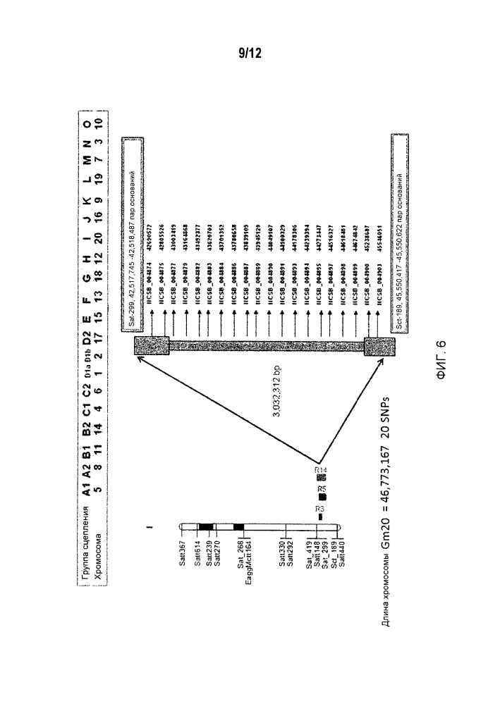 Маркеры, сцепленные с устойчивостью растений сои к scn (патент 2620973)