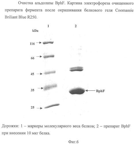 Способ производства 4-гидрокси-l-изолейцина или его соли (патент 2355767)