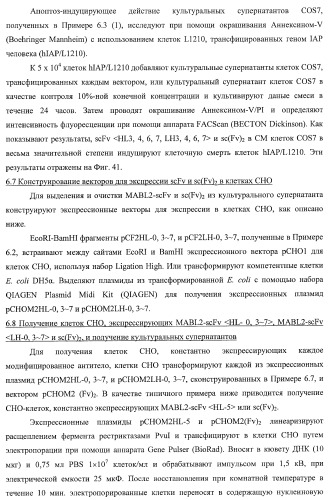 Днк, кодирующая модифицированное антитело или соединение с активностью агониста тро, способ их получения и животная клетка или микроорганизм, их продуцирующие (патент 2422528)