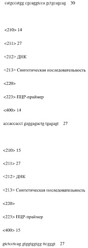 Модифицированное агонистическое антитело (патент 2295537)