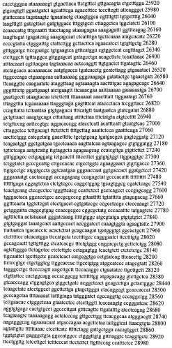 Модуляция экспрессии гентингтина (патент 2562861)