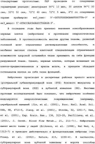 Ее3-семейство белков и соответствующие днк-последовательности (патент 2333918)